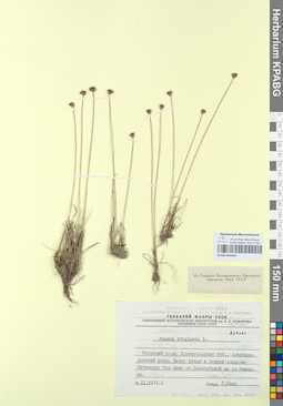 KPABG050439