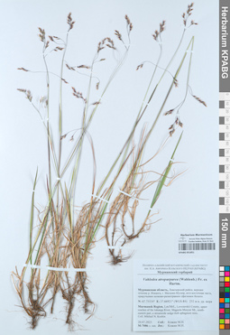 KPABG051851