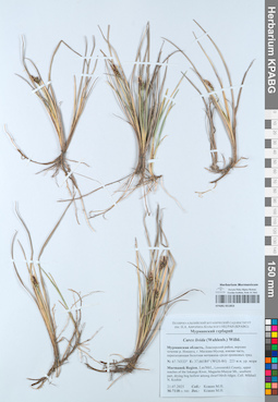 KPABG051853