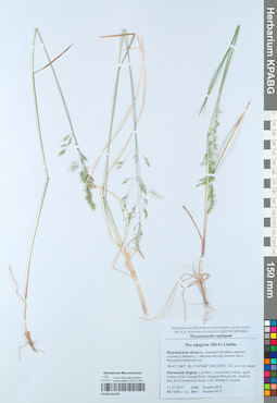 KPABG051859