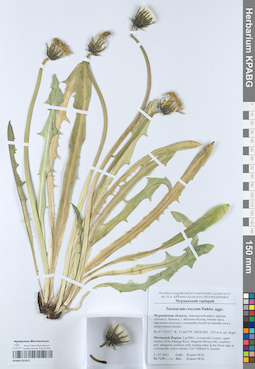 KPABG051872