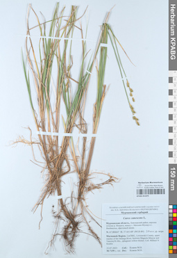 KPABG051879