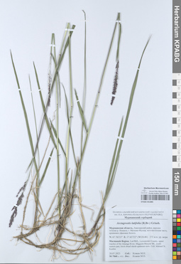 KPABG051885