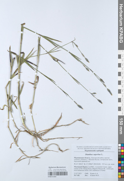 KPABG051892