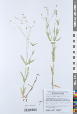KPABG051996