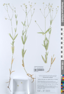 KPABG051998