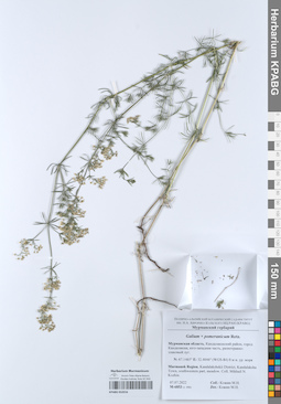 KPABG052016
