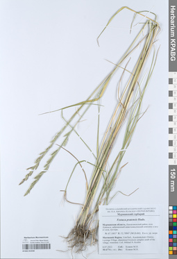 KPABG052038