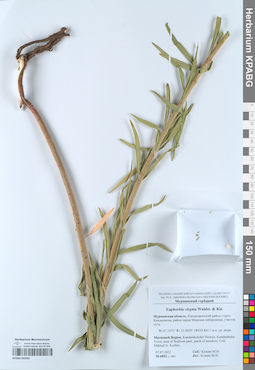 KPABG052042