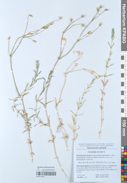 KPABG052051