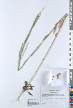 KPABG052054