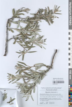 KPABG052056