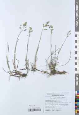 KPABG052064
