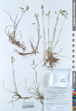 KPABG052065