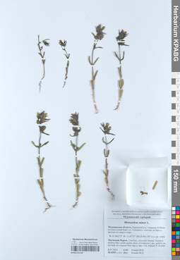 KPABG052199