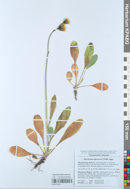 KPABG052204
