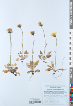 KPABG052207