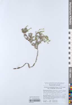 KPABG052215