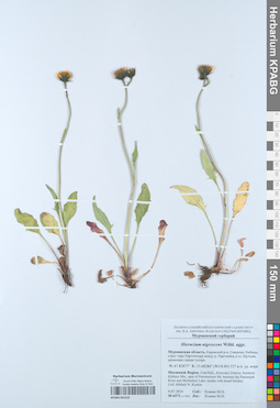 KPABG052223