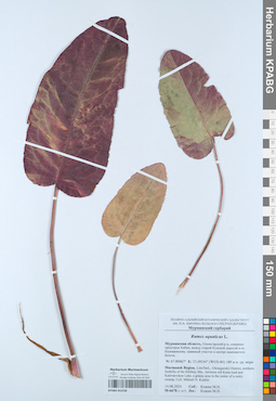 KPABG052228