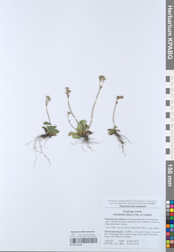 KPABG052240