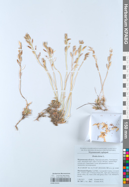 KPABG052241