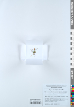 KPABG052247