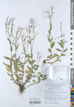 KPABG052248