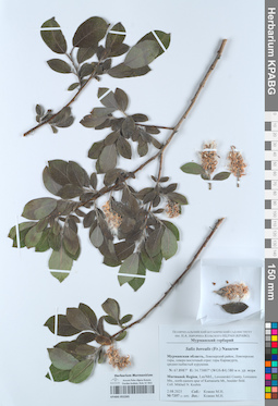 KPABG052265