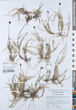 KPABG052275