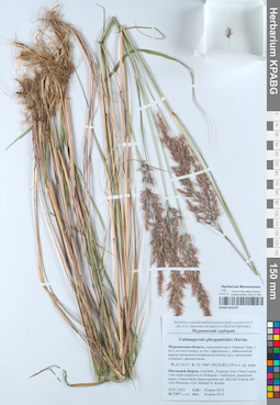 KPABG052279