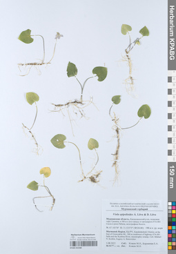KPABG052280