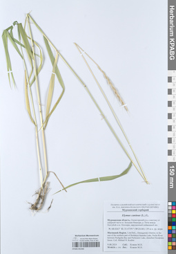 KPABG052365
