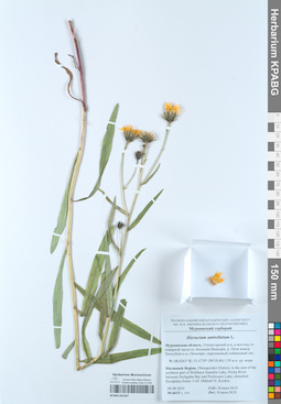 KPABG052367