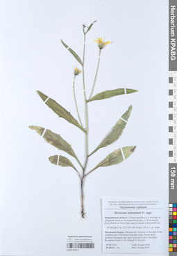 KPABG052372