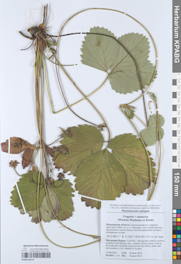 KPABG052374
