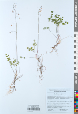 KPABG052382
