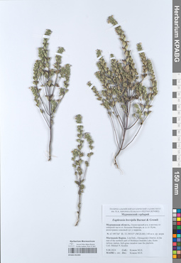 KPABG052383