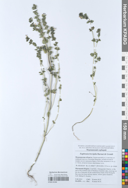 KPABG052386