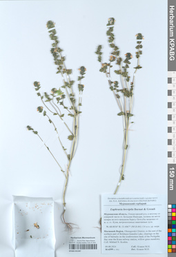KPABG052387