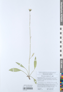 KPABG052389