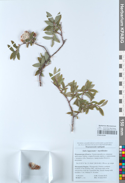 KPABG052394