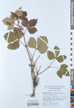 KPABG052401