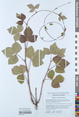 KPABG052402