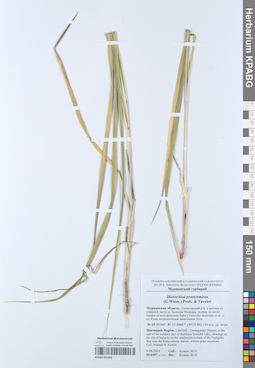 KPABG052403