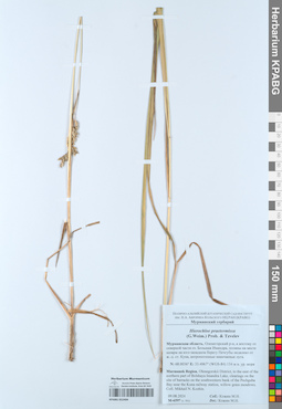 KPABG052404