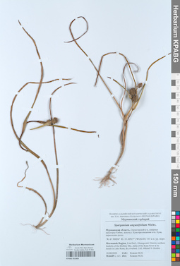 KPABG052409
