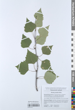 KPABG052412