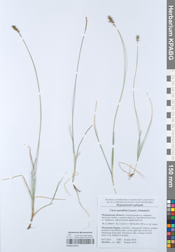 KPABG052418