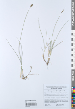 KPABG052419
